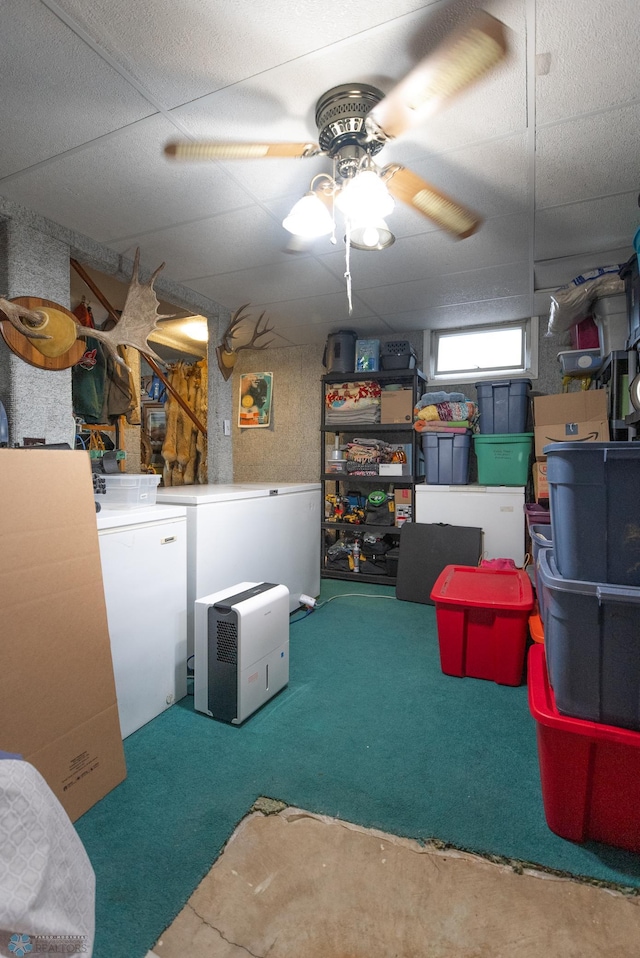 basement with a paneled ceiling, carpet floors, and ceiling fan