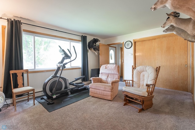 workout area featuring carpet floors