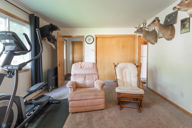 workout room featuring carpet flooring