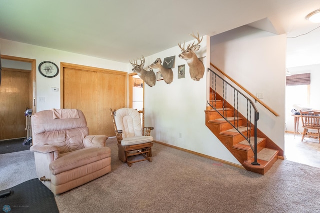 sitting room featuring carpet