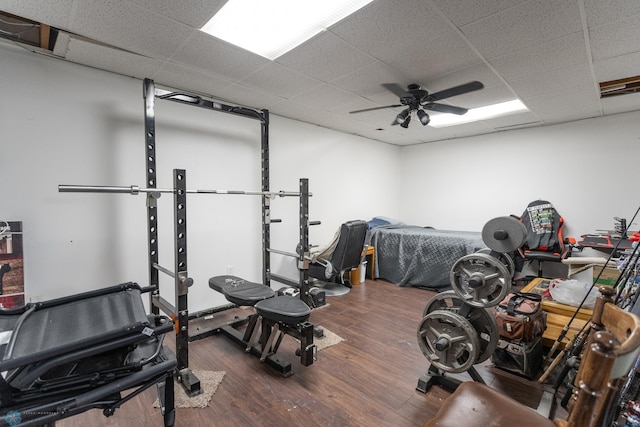 workout room with ceiling fan, hardwood / wood-style floors, and a paneled ceiling