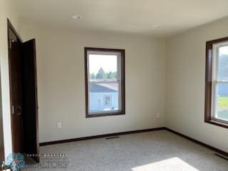 empty room with light carpet and a wealth of natural light