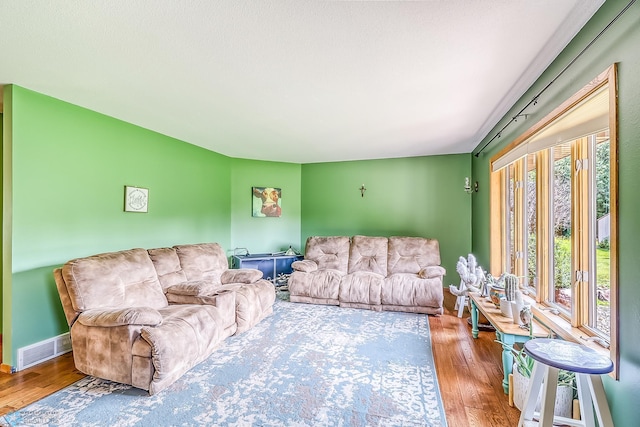 living room with wood-type flooring