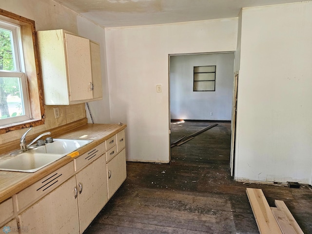 kitchen featuring sink and dark wood-type flooring