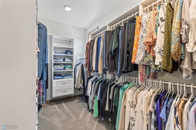 spacious closet featuring carpet floors