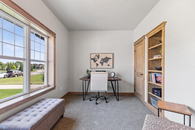 office with carpet flooring