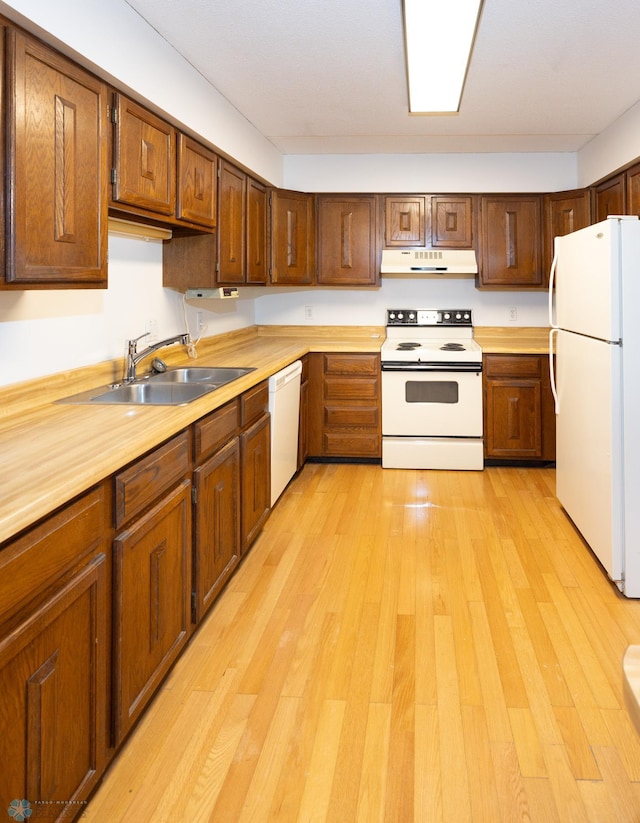 kitchen with sink, light hardwood / wood-style floors, and white appliances