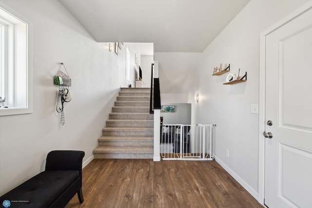 stairs with dark hardwood / wood-style floors