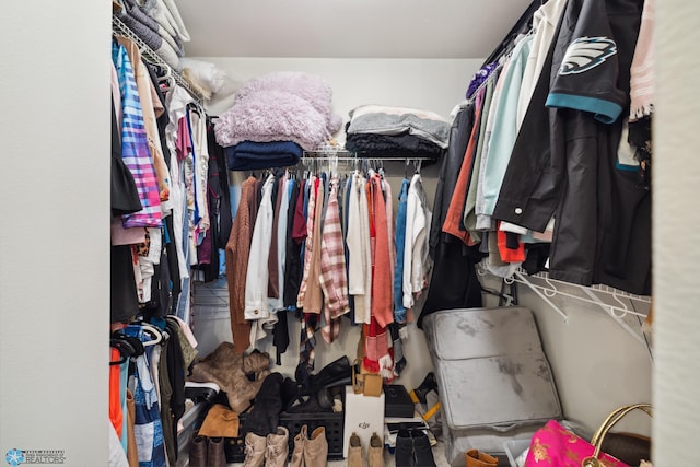 view of spacious closet