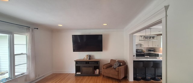 living room featuring plenty of natural light, a baseboard radiator, and light wood-type flooring