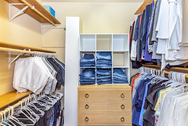 view of walk in closet