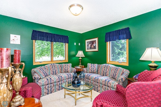 living room with a textured ceiling