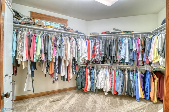 spacious closet featuring carpet