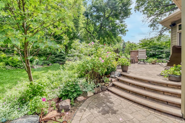 view of yard with a patio