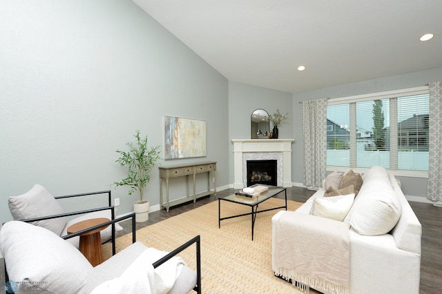 living room with wood-type flooring, high vaulted ceiling, and a high end fireplace