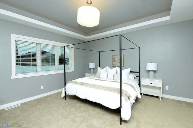 bedroom featuring carpet and a raised ceiling