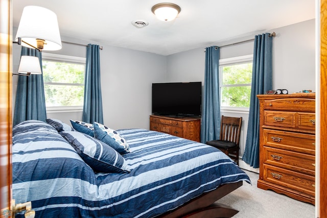 bedroom with carpet floors