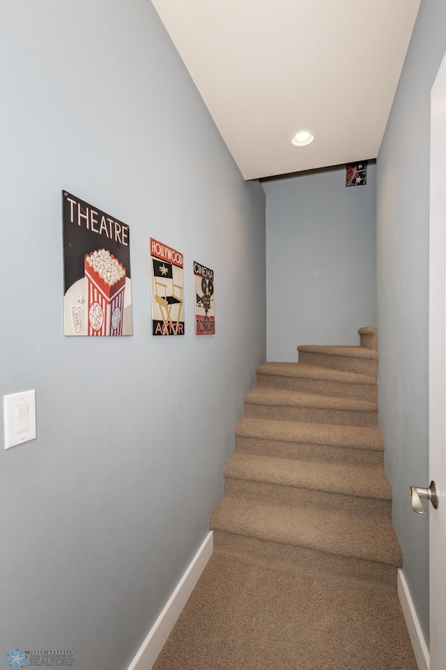 stairway featuring carpet floors