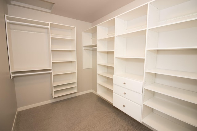 spacious closet with dark colored carpet