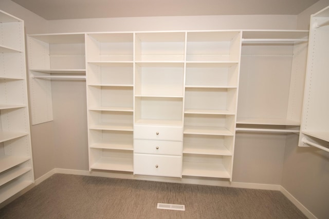 spacious closet featuring carpet flooring