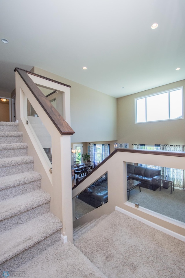 staircase with carpet flooring