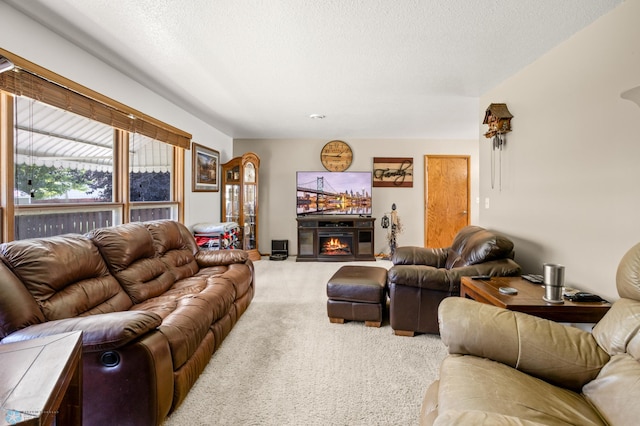 living room with carpet and a textured ceiling