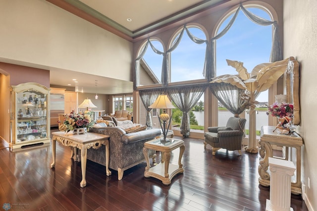 living room with dark wood-type flooring and a high ceiling