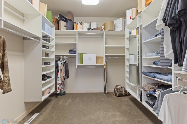 spacious closet with carpet flooring