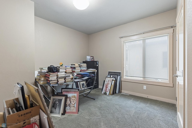 misc room featuring a healthy amount of sunlight and carpet floors