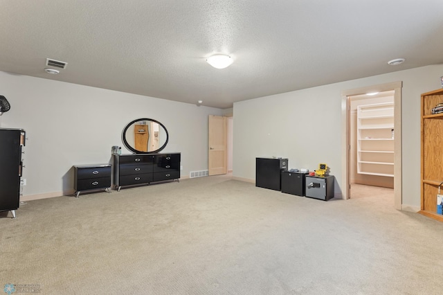 interior space with carpet floors and a textured ceiling