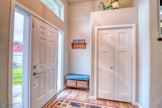 entrance foyer featuring light hardwood / wood-style flooring