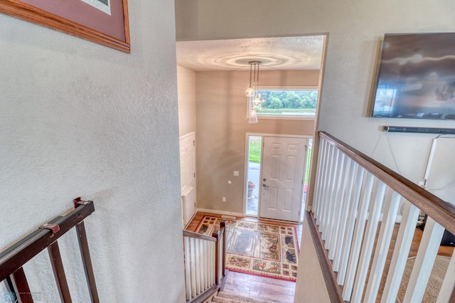 entrance foyer with wood-type flooring