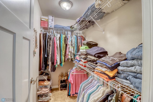 walk in closet with carpet flooring