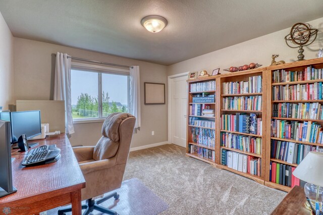 view of carpeted home office