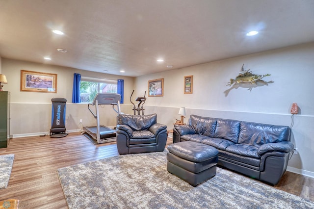 living room with hardwood / wood-style floors