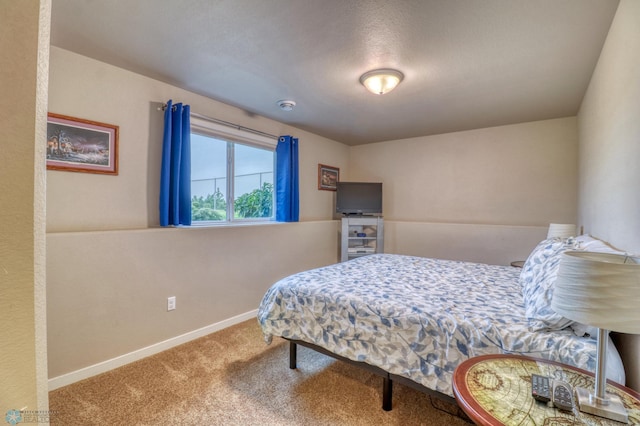 bedroom with carpet floors