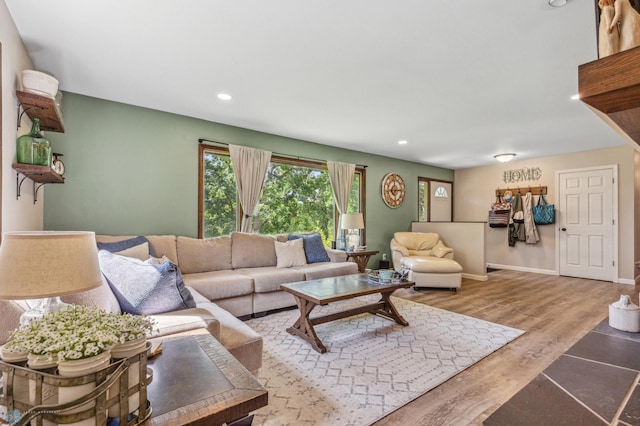 living room featuring light hardwood / wood-style floors