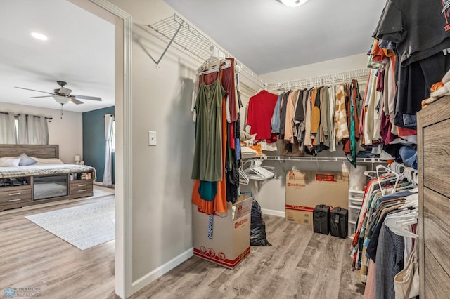 spacious closet featuring ceiling fan and light hardwood / wood-style floors