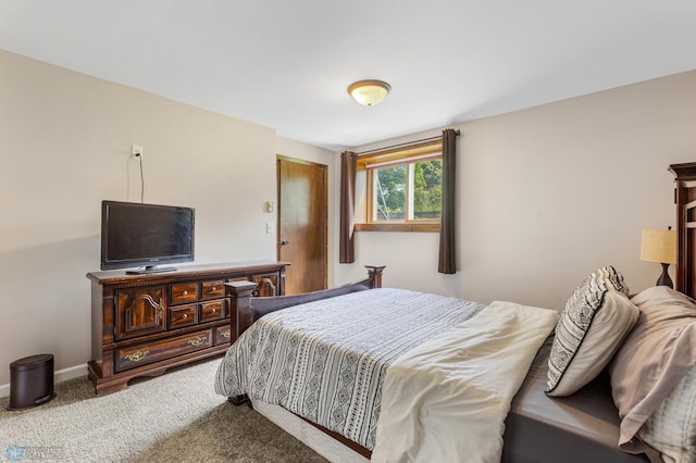 bedroom with carpet