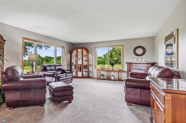 carpeted living room featuring a textured ceiling and plenty of natural light