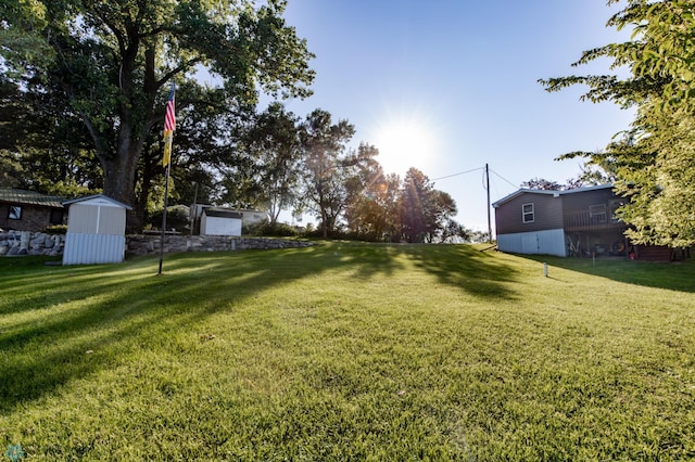 view of yard with a storage shed