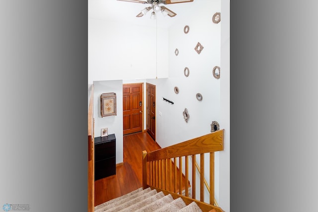 staircase featuring hardwood / wood-style floors and ceiling fan