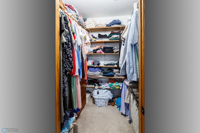 spacious closet featuring carpet flooring