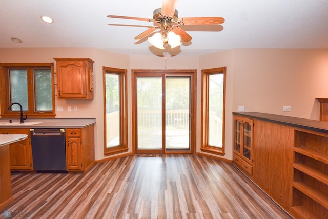 kitchen featuring black dishwasher, sink, ceiling fan, and light hardwood / wood-style flooring