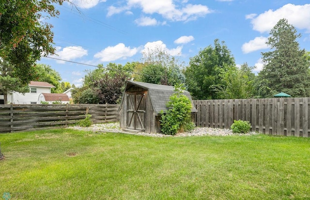 view of yard featuring a storage shed