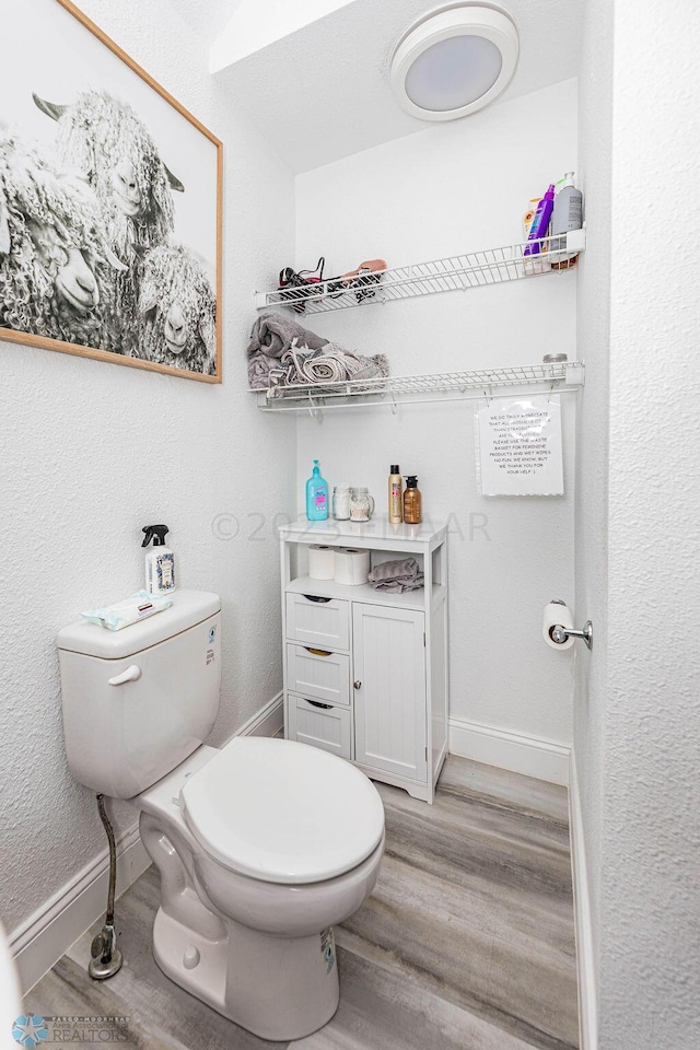 bathroom featuring toilet, vanity, and hardwood / wood-style flooring