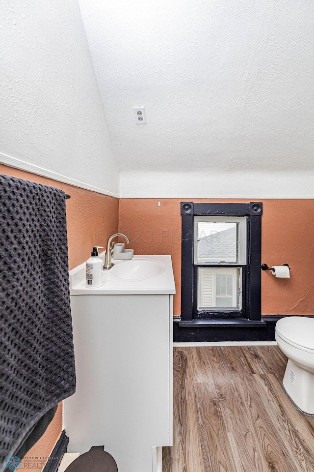 bathroom with wood-type flooring, vanity, and toilet