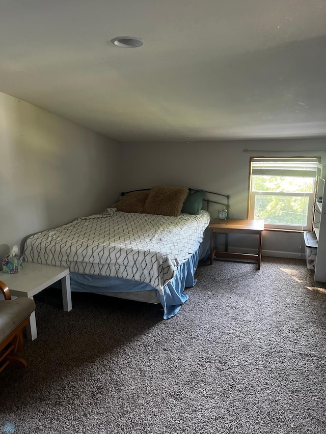 bedroom featuring carpet floors