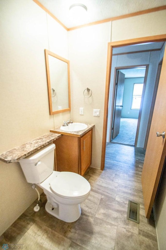 bathroom with toilet and vanity