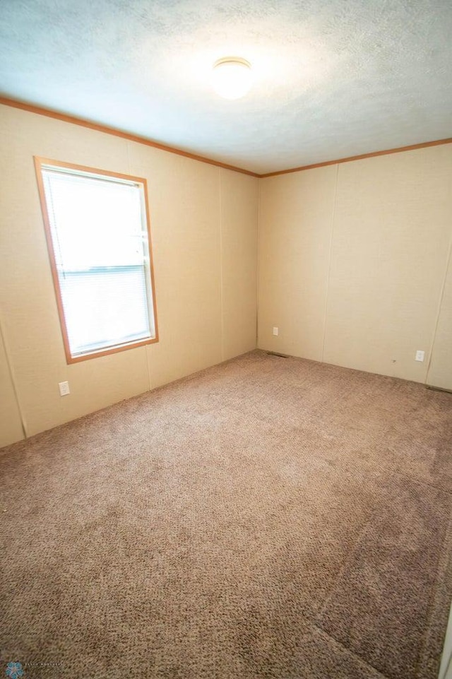 carpeted spare room with a textured ceiling